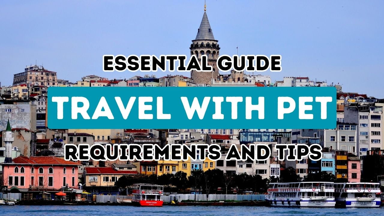 Essential Guide for Traveling to Turkey with Your Pet Requirements and